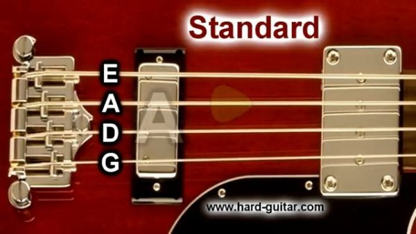 Bass Guitar Tuner - E Standard Tuning (E A D G) 4 Strings