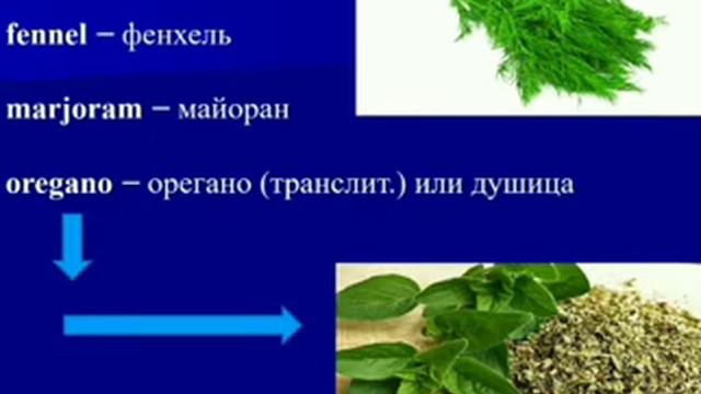Translating the names of spice and herbs смотреть онлайн