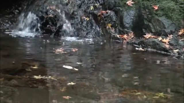 Глубокая осень смотреть онлайн