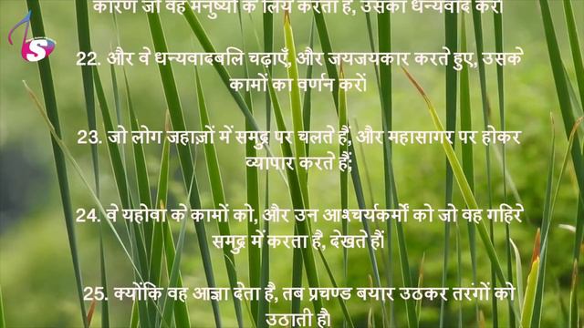 Hindi Audio Bible | भजन संहिता - 107 | Psalm - 107 | The Holy Bible | Bible Reading смотреть онлайн