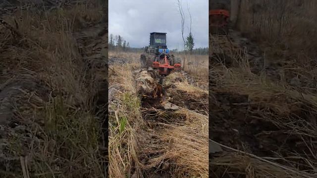 Чудо трактор!) Подготовка почвы под посадку лесных культур! смотреть онлайн