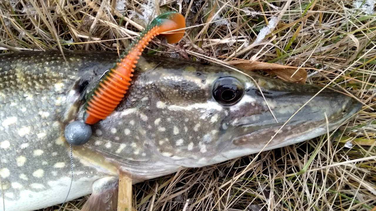 Рыбалка в предзимье на красивой реке. Ловля на спиннинг в ноябре. Щука на джиг. смотреть онлайн