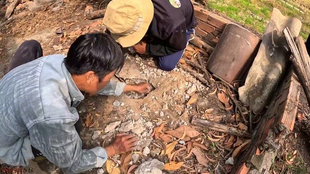 [SĂN BẮT RẮN] Tưởng chú nói vui, Không ngờ có Vảy Rắn lớn thật | TGSB #833 смотреть онлайн