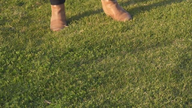 The Garden Gurus - Spring Lawn Care смотреть онлайн