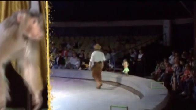 Концепция бандерлогов смотреть онлайн