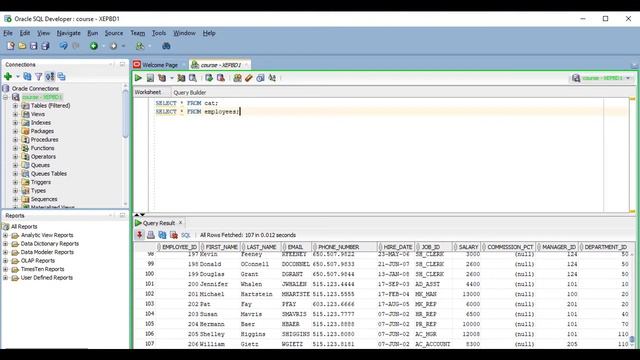 Oracle SQL Developer - Using Results Grid смотреть онлайн