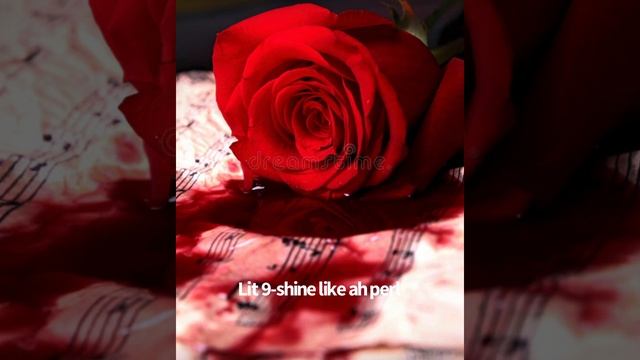 Lit 9-shine like ah perl смотреть онлайн