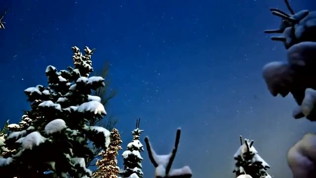 плитный фундамент видео