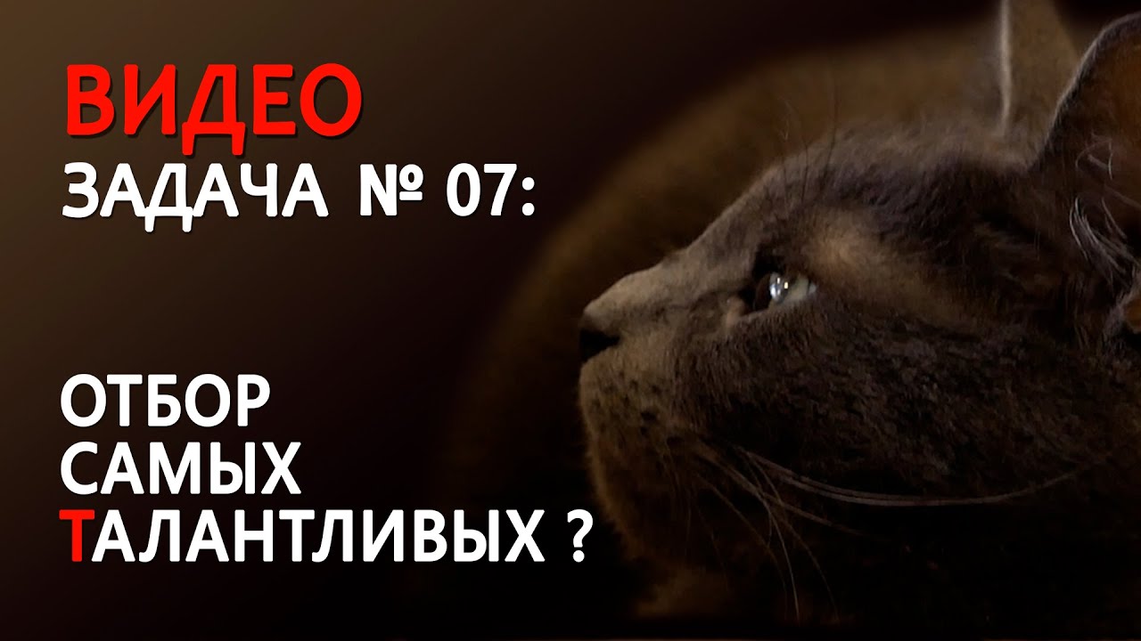 Психология творчества: ОТБОР САМЫХ ТАЛАНТЛИВЫХ ? смотреть онлайн