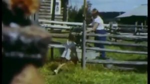 Русская Северная д/ф (1983 г.)