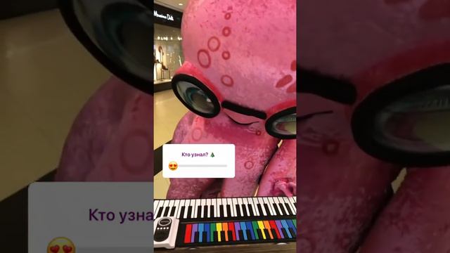 Осьминог играет на гибком пианино solozar смотреть онлайн
