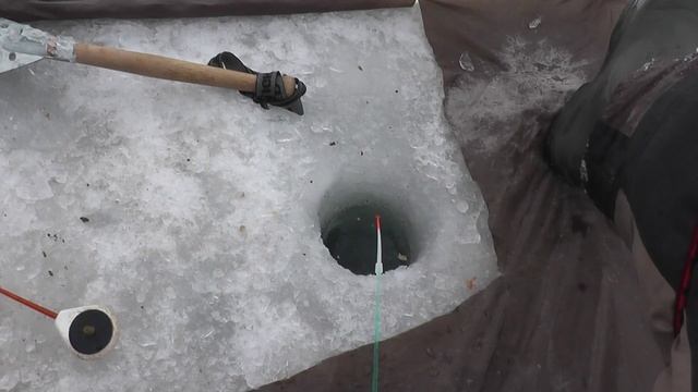 Рыбалка 24.03.23. смотреть онлайн