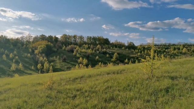 Байбак. Сурок обыкновенный. Иду на фотоохоту. 01.05.2022 смотреть онлайн
