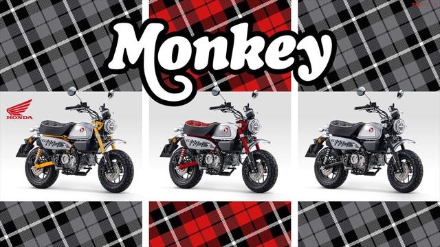 BREAKING: 2023 Honda Monkey Takes Style To A Totally Different Level... Here's What's New! смотреть онлайн