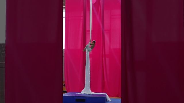 Сурская Анастасия, 7 лет, Favorite dance fest, Подольск, 10.12.22 Полотна, любитель, 1 место смотреть онлайн
