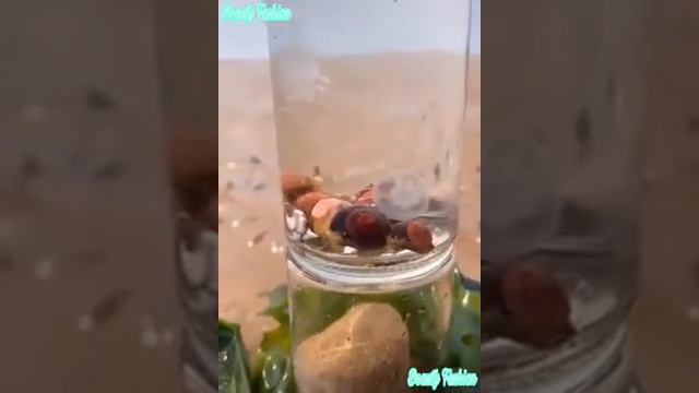 не видим но они есть смотреть онлайн