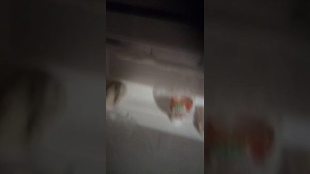 канфета в бутылке