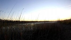 (18 ) УДАЧНАЯ ВЕЧЁРКА - ЧЕТЫРЕ ВЫСТРЕЛА, ТРИ КРЯКАША (охота на утку - сезон осен.mp4