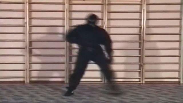 Полицейская боевая система ПОБОС