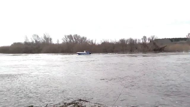 Лодка Пингвин + гладиатор 15 смотреть онлайн