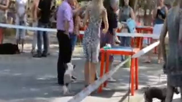 Региональная выставка Липецк смотреть онлайн
