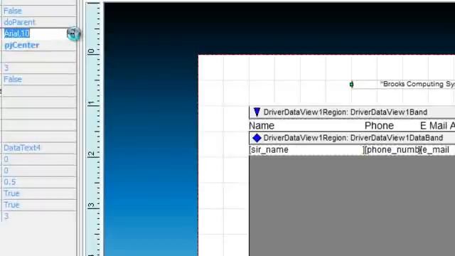 BCS Delphi XE Rave Report Tutorial смотреть онлайн