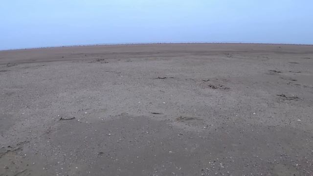 Молочный лиман после открытия промоины. 30 декабря 2019.