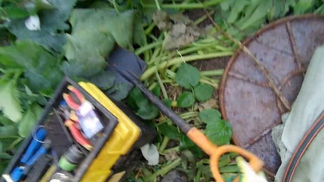 Обслуживание септика осина в Звенигороде смотреть онлайн