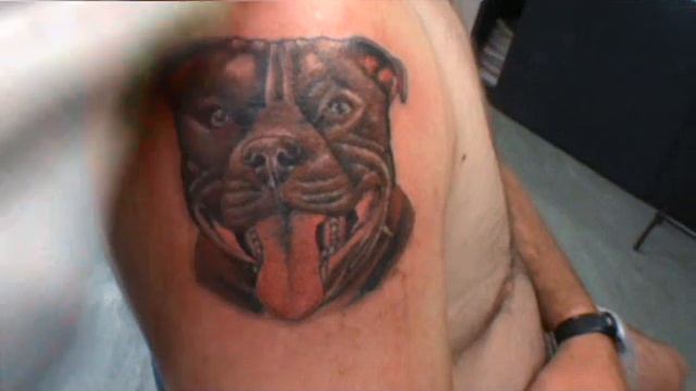 matts staffy tattoo.wmv смотреть онлайн