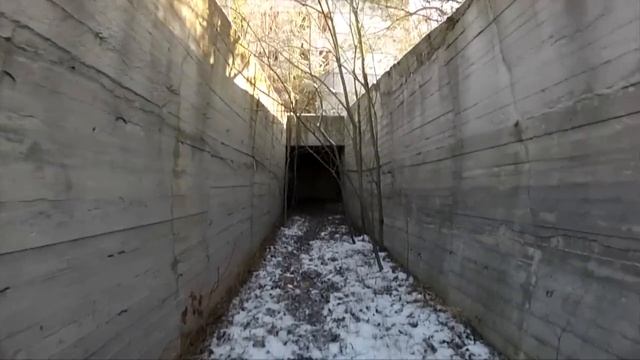 Обзор и тестирование механического стедикама для видеосъемки / Mechanical Steadicam Review