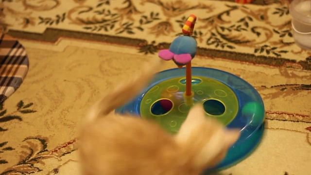 Марсик и Максик смотреть онлайн