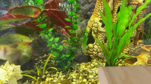 Психология общая: А.Г.Маклаков/Тема: Теорет-е и эксперим-ные подходы к исслед-ю мышления/17.02.23 смотреть онлайн