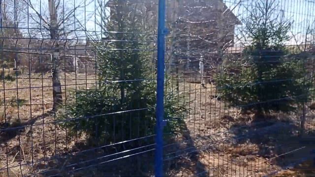 Монтаж 3-D забора из сварной сетки в д. Хопылево Рыбинский район смотреть онлайн