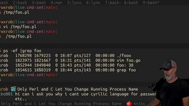 Only Perl and C Let You Change Running Process Name смотреть онлайн
