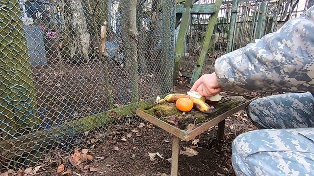 Лихачёвское кладбище. Уборщик Заброшенных могил. смотреть онлайн