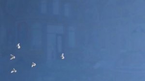 ПРАЗДНИК ТРОИЦЫ ДЕТИ