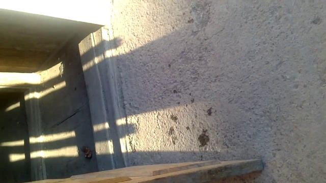 Росомаха существует !!!)) смотреть онлайн