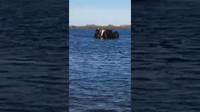 Вездеход Каркалыга на К-700. АКПП, скорость на вроде. выход на лёд смотреть онлайн