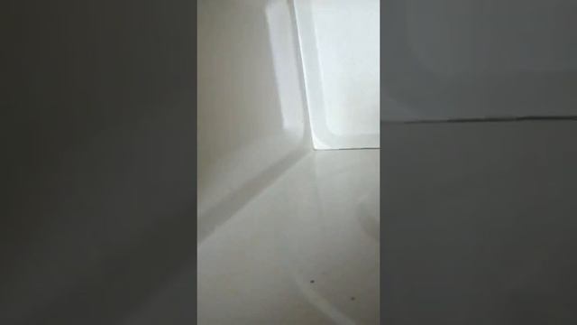 Диск Инволвер. Гринвей. смотреть онлайн