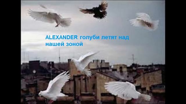 Alexander - Голуби летят над нашей зоной смотреть онлайн