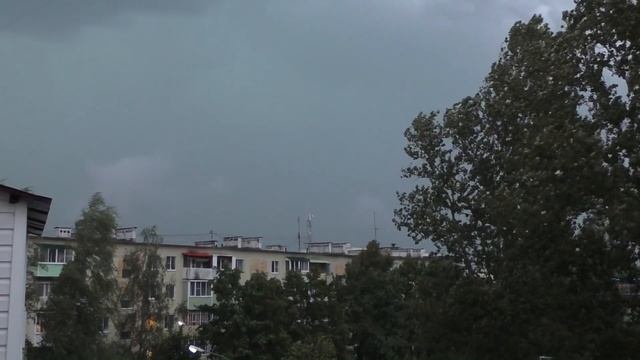 Последствия вырубки лесов в Подмосковье! Ураганы! смотреть онлайн