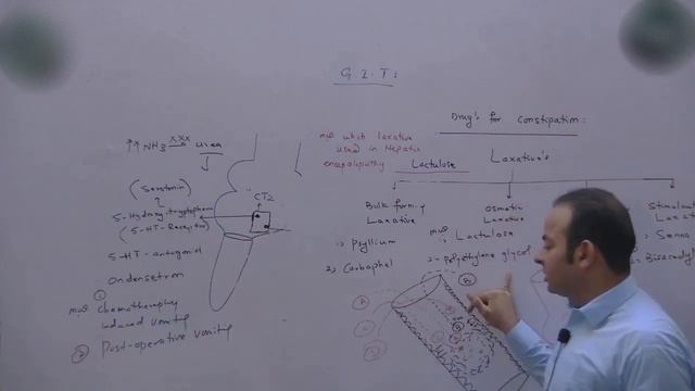 H. Pylori Treatment, Anti Emetics & And Lexative - Part 2/2 (GIT Pharma) Dr. Sadiq (Lec# 21/21) смотреть онлайн