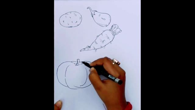 How to draw simple vegetable sketch?...step by step... Udita's drawing hub смотреть онлайн