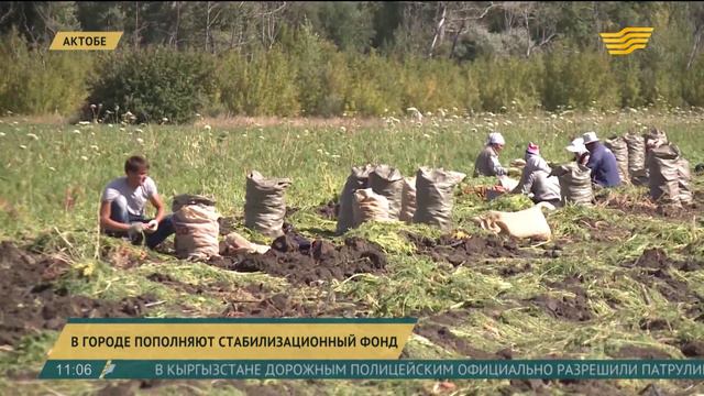 В Актобе пополняют стабилизационный фонд смотреть онлайн