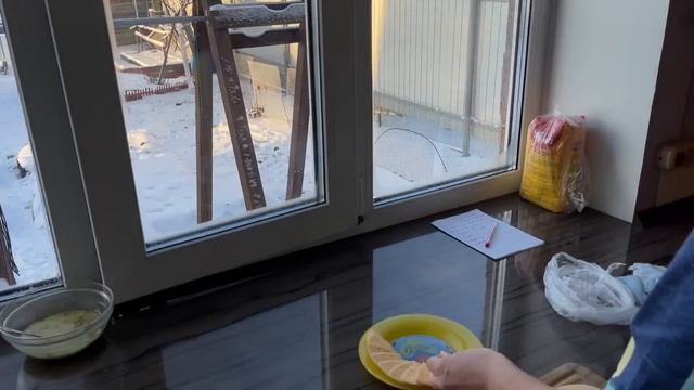 342/Переезд в Россию. Жизнь остановилась, людей нет, темнеет рано! Дома хорошо! Город Ялуторовск. смотреть онлайн