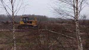 Бульдозер ЧТЗ Б10 М   Валка леса