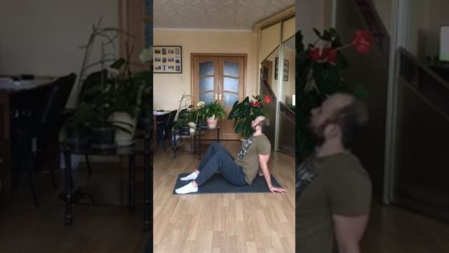 Тренировка гибкости. Начальный уровень. смотреть онлайн