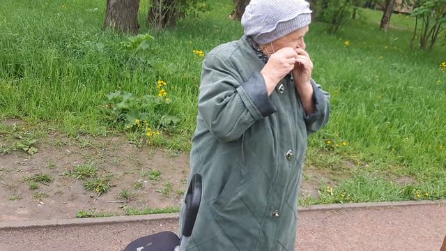 Галина Изотова Жил Был Пёс Лабрадор Рей Музей Пса смотреть онлайн