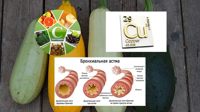Кабачок Польза и Вред Полезные Свойства смотреть онлайн