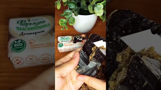 Дегтярное мыло от ЕЖК #asmr #asmrvideo #soapasmr #асмр #асмрмыло #soakedsoapplay #soapcutting #soap